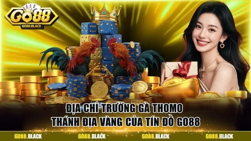 địa chỉ trường gà Thomo