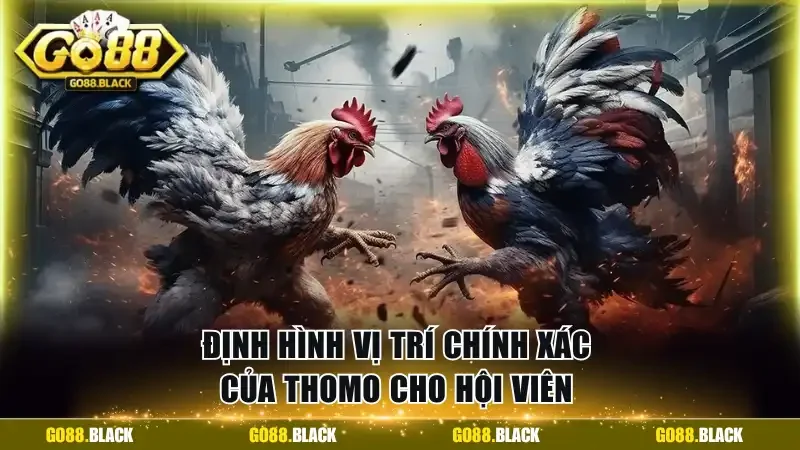 Định hình vị trí chính xác của Thomo cho hội viên 